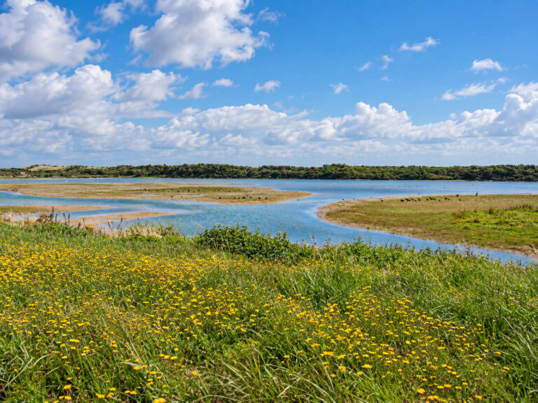 parc du marquenterre 768x576