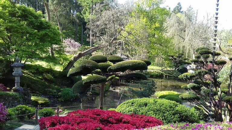 parc oriental de maulevrier 768x432