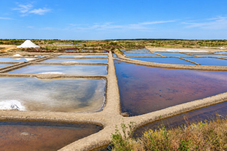 terre de sel guerande 768x512
